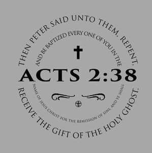 Meet your Posher, Kitty